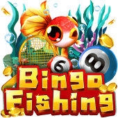 Bingo Fishing at Jillitt