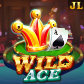 Wild Ace at Jillitt